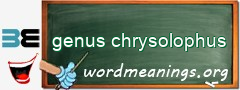 WordMeaning blackboard for genus chrysolophus